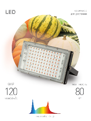 Фитопрожектор для растений светодиодный FITO-80W-Ra90-LED-Y полного спектра