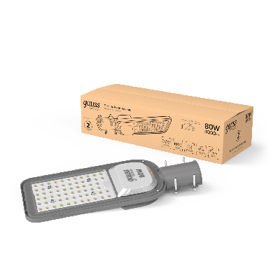 Светильник уличный консольный ДКУ 80 Вт 8000 лм 6500К AC 220В IP65 380х146х70мм широкая КСС Ш Avenue