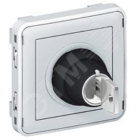 Plexo Выключатель с ключом 2контакта НО серая