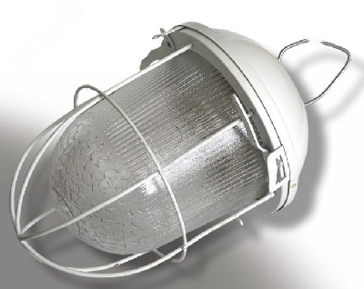 Светильник НСП-02(41)-200-003 с решеткой окрашенный IP54