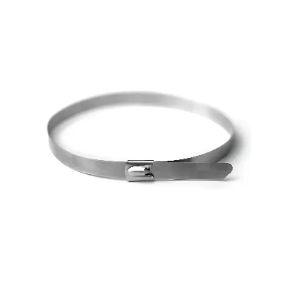 Хомут из нержавеющей стали 4.6х400 (30 шт)