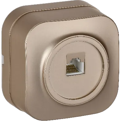 GLORY Розетка для открытой установки компьютерная RJ45 кат.5E РК10-ХШм шампань матовый IEK